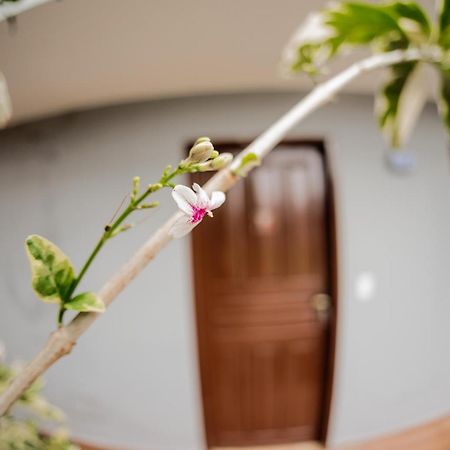 Buziando Pousada Búzios المظهر الخارجي الصورة